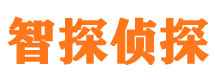 安国市侦探公司